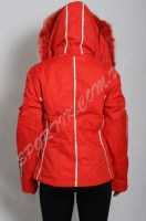sport-Talm-372_back.jpg
